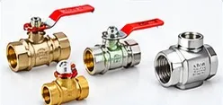 Ball Valves and Check Valves